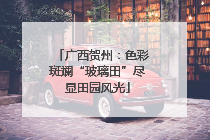 广西贺州：色彩斑斓“玻璃田”尽显田园风光
