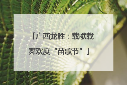 广西龙胜：载歌载舞欢度“苗歌节”