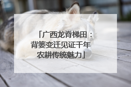 广西龙脊梯田：背篓变迁见证千年农耕传统魅力