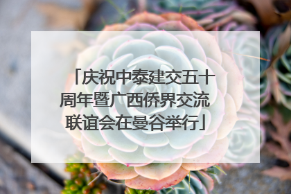 庆祝中泰建交五十周年暨广西侨界交流联谊会在曼谷举行
