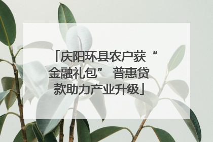 庆阳环县农户获“金融礼包” 普惠贷款助力产业升级