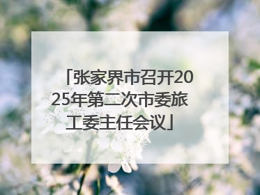 张家界市召开2025年第二次市委旅工委主任会议