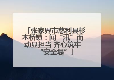张家界市慈利县杉木桥镇：闻“汛”而动显担当 齐心筑牢“安全堤”