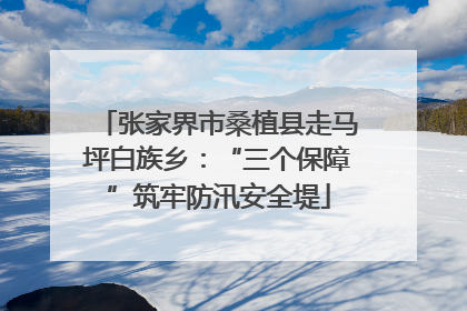 张家界市桑植县走马坪白族乡：“三个保障”筑牢防汛安全堤