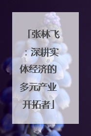 张林飞：深耕实体经济的多元产业开拓者