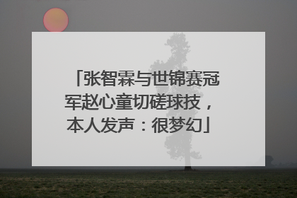 张智霖与世锦赛冠军赵心童切磋球技，本人发声：很梦幻
