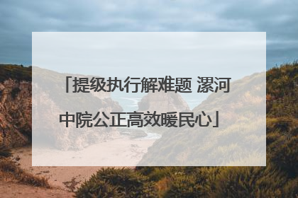 提级执行解难题 漯河中院公正高效暖民心