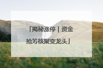 揭秘涨停｜资金抢筹核聚变龙头