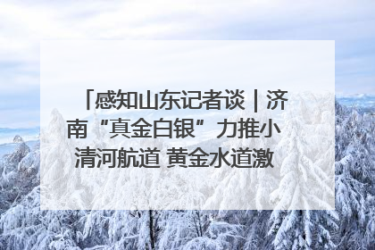 感知山东记者谈｜济南“真金白银”力推小清河航道 黄金水道激活区域经济新动能