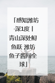 感知潍坊·深1度丨青山深处鲟鱼跃 潍坊鱼子酱闯全球