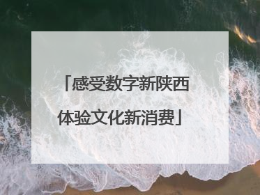 感受数字新陕西 体验文化新消费