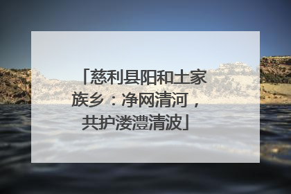 慈利县阳和土家族乡：净网清河，共护溇澧清波