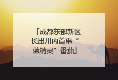 成都东部新区长出川内首串“蓝精灵”番茄