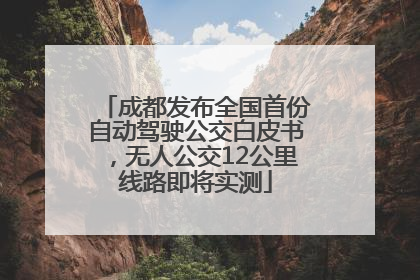 成都发布全国首份自动驾驶公交白皮书，无人公交12公里线路即将实测