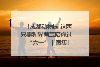 成都动物园 这两只黑猩猩萌宝陪你过“六一”｜图集