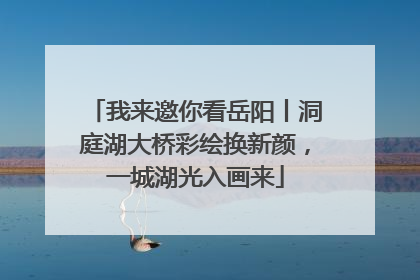 我来邀你看岳阳丨洞庭湖大桥彩绘换新颜，一城湖光入画来