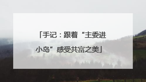 手记：跟着“主委进小岛”感受共富之美