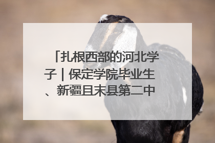 扎根西部的河北学子｜保定学院毕业生、新疆且末县第二中学教师黄小凤：《歌唱祖国》是她教会学生的第一首歌