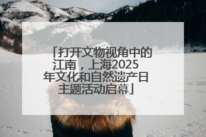 打开文物视角中的江南，上海2025年文化和自然遗产日主题活动启幕