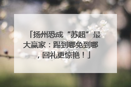 扬州恐成“苏超”最大赢家：踢到哪免到哪，回礼更惊艳！