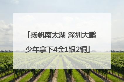 扬帆南太湖 深圳大鹏少年拿下4金1银2铜