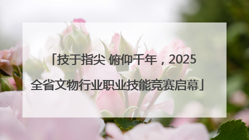 技于指尖 俯仰千年，2025全省文物行业职业技能竞赛启幕