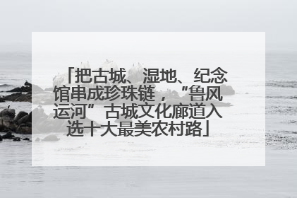 把古城、湿地、纪念馆串成珍珠链，“鲁风运河”古城文化廊道入选十大最美农村路