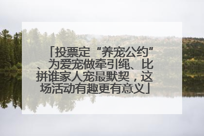 投票定“养宠公约”、为爱宠做牵引绳、比拼谁家人宠最默契，这场活动有趣更有意义
