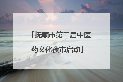 抚顺市第二届中医药文化夜市启动