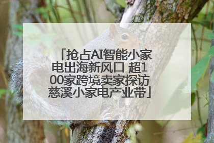 抢占AI智能小家电出海新风口 超100家跨境卖家探访慈溪小家电产业带