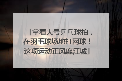 拿着大号乒乓球拍，在羽毛球场地打网球！这项运动正风靡江城