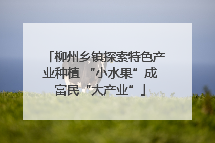柳州乡镇探索特色产业种植 “小水果”成富民“大产业”