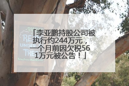 李亚鹏持股公司被执行约244万元，一个月前因欠税561万元被公告！