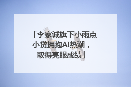 李家诚旗下小雨点小贷拥抱AI热潮，取得亮眼成绩
