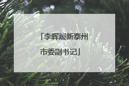 李晖履新泰州市委副书记