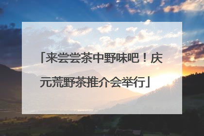 来尝尝茶中野味吧！庆元荒野茶推介会举行