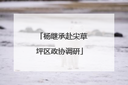 杨继承赴尖草坪区政协调研