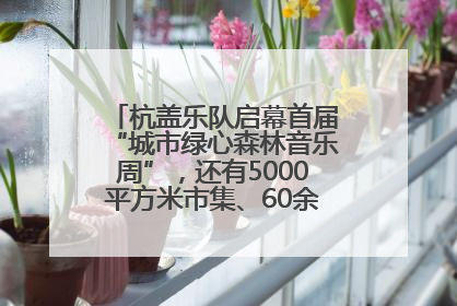 杭盖乐队启幕首届“城市绿心森林音乐周”，还有5000平方米市集、60余场免费活动等你来