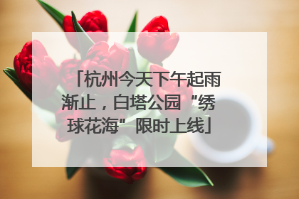 杭州今天下午起雨渐止，白塔公园“绣球花海”限时上线