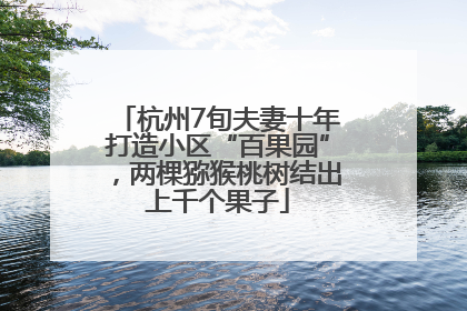杭州7旬夫妻十年打造小区“百果园”，两棵猕猴桃树结出上千个果子