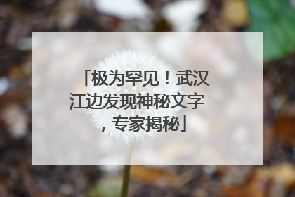 极为罕见！武汉江边发现神秘文字，专家揭秘