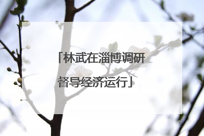 林武在淄博调研督导经济运行
