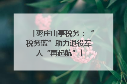 枣庄山亭税务：“税务蓝”助力退役军人“再起航”