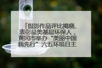 摄影作品评比揭晓、表彰最美基层环保人，黄冈市举办“美丽中国我先行”六五环境日主题宣传活动
