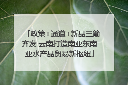 政策+通道+新品三箭齐发 云南打造南亚东南亚水产品贸易新枢纽