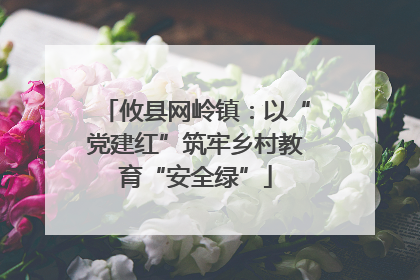 攸县网岭镇：以“党建红”筑牢乡村教育“安全绿”