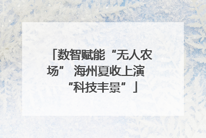 数智赋能“无人农场” 海州夏收上演“科技丰景”