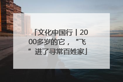 文化中国行丨2000多岁的它，“飞”进了寻常百姓家