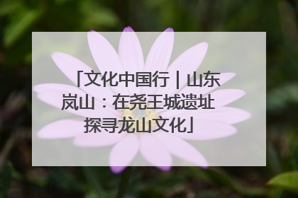 文化中国行｜山东岚山：在尧王城遗址探寻龙山文化