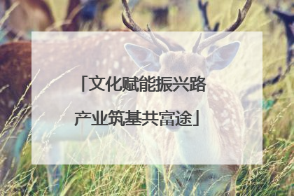 文化赋能振兴路 产业筑基共富途